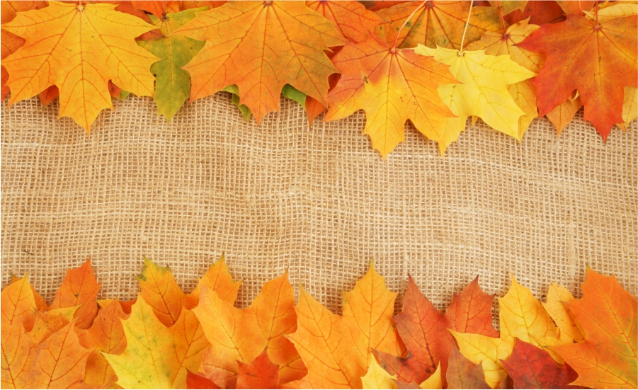 Beautiful Autumn Wallpapers Feture
